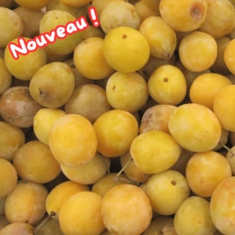 Mirabelles