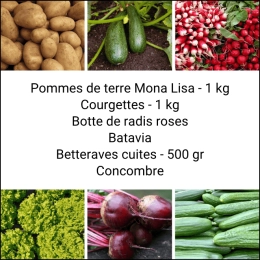 Panier MINI Tout Légumes