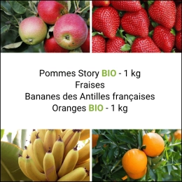 Panier tout Fruits