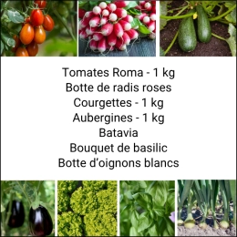 Panier MIDI Tout Légumes