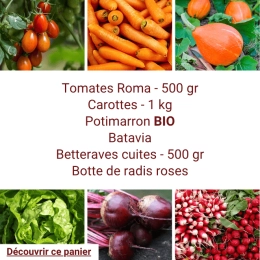 Panier MINI Tout Légumes