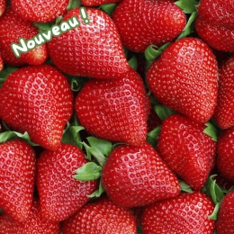 Cagette de fraises Cléry