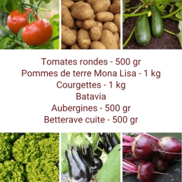 Panier MINI Tout Légumes