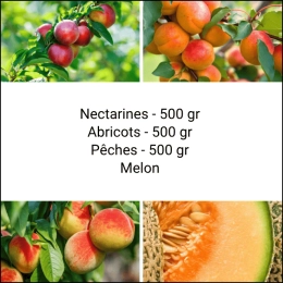 Panier Tout Fruits