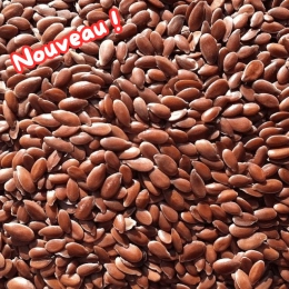 Graines de lin brun BIO