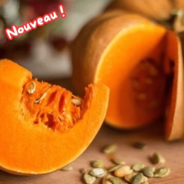 Tranche de courge musquée BIO