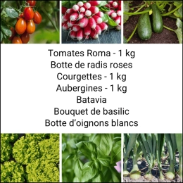 Panier MIDI Tout Légumes