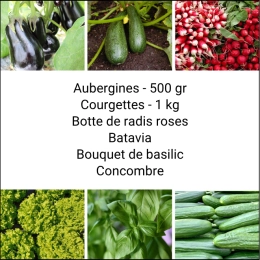 Panier MINI Tout Légumes