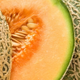 Cagette de 3 melons