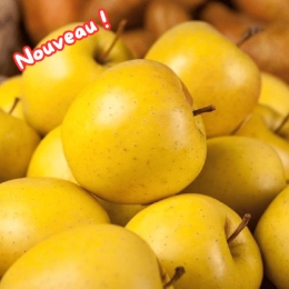 Cagette de pommes Golden