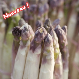 Cagette d'asperges blanches pointes violettes
