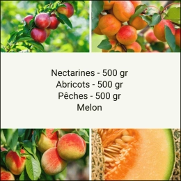 Panier tout Fruits