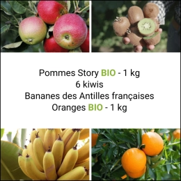 Panier Tout Fruits