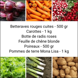 Panier MINI Tout Légumes