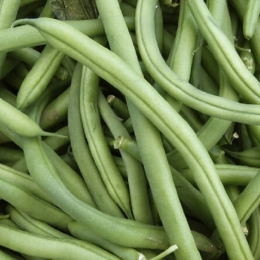 Cagette de haricots verts machine