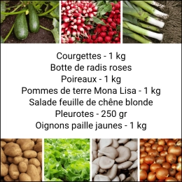 Panier MIDI Tout Légumes