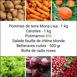 Panier MINI Tout Légumes
