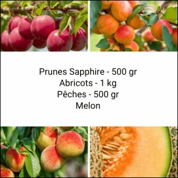 Panier Tout Fruits