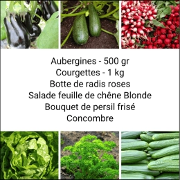 Panier MINI Tout Légumes