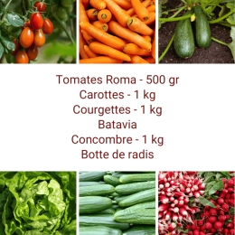 Panier MINI Tout Légumes