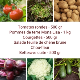 Panier MINI Tout Légumes