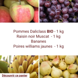 Panier tout Fruits