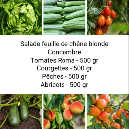 Panier MINI Fruits & Légumes