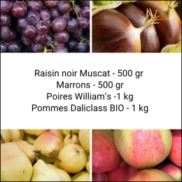 Panier tout Fruits
