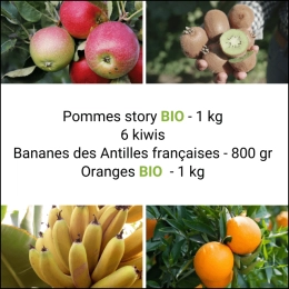 Panier Tout Fruits