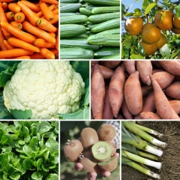 Panier MAXI Fruits & Légumes