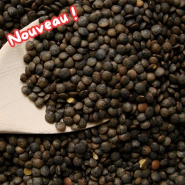 Lentilles vertes BIO