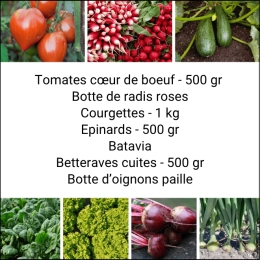 Panier MIDI Tout Légumes