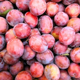 Prunes Délice