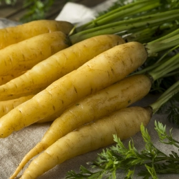 Cagettes de carottes jaunes