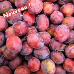 Cagette de prunes Délice