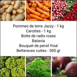 Panier MINI Tout Légumes