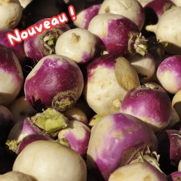 Navets