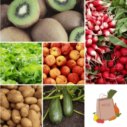 Panier MINI Fruits & Légumes