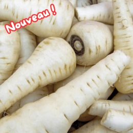Panais