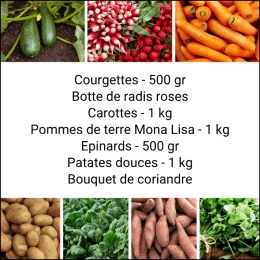Panier MIDI Tout Légumes