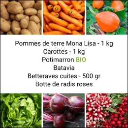 Panier MINI Tout Légumes