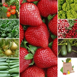 Panier MAXI Fruits & Légumes