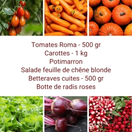 Panier MINI Tout Légumes