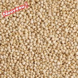 Quinoa blanc