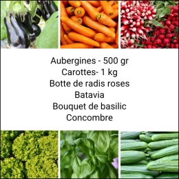 Panier MINI Tout Légumes
