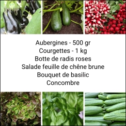 Panier MINI Tout Légumes