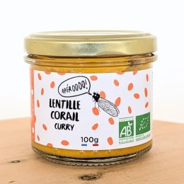 Tartinade lentille corail, patate douce et curry BIO