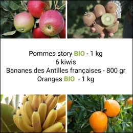 Panier tout Fruits