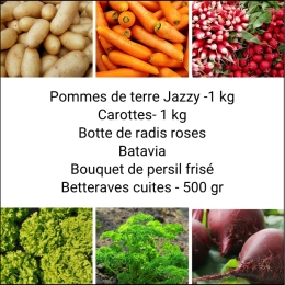 Panier MINI Tout Légumes