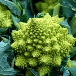 Chou Romanesco